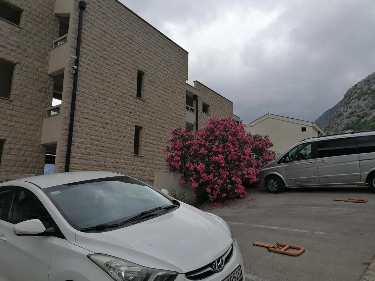 Villa Milla Kotor Eksteriør bilde